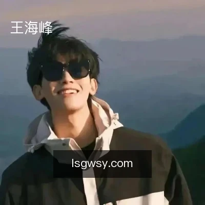 王海峰